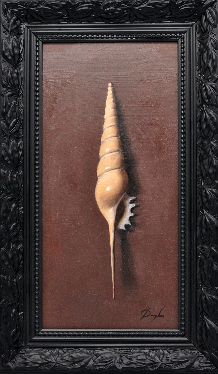 Daniel Douglas + Hoornschelp, glad